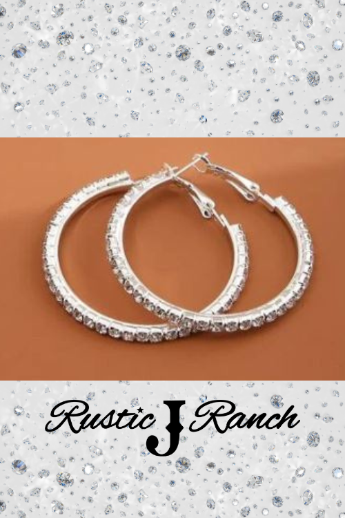 Rhinestone Stainless Steel hoop earrings