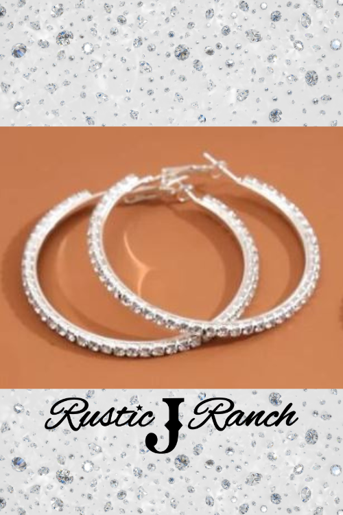 Rhinestone Stainless Steel hoop earrings